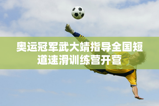 魯伊在近日